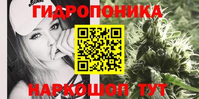 экстази Аргун